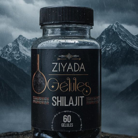Boîte de gélules Shilajit Ziyada – extrait naturel 70% acide fulvique, 60 gélules énergisantes